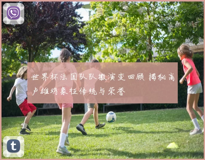 世界杯法国队队徽演变回顾 揭秘高卢雄鸡象征传统与荣誉