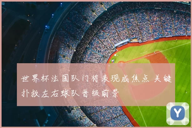 世界杯法国队门将表现成焦点 关键扑救左右球队晋级前景