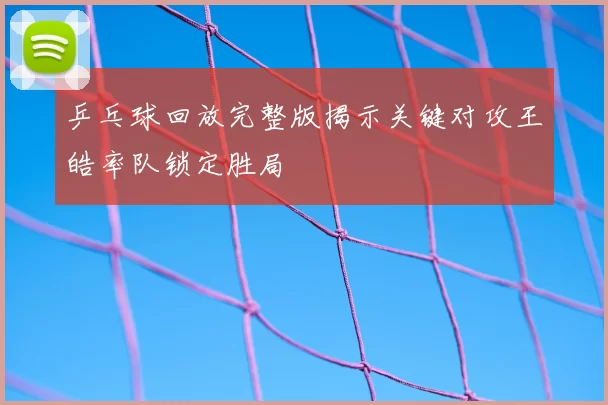 乒乓球回放完整版揭示关键对攻王皓率队锁定胜局