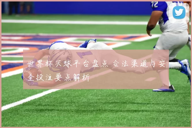 世界杯买球平台盘点 合法渠道与安全投注要点解析