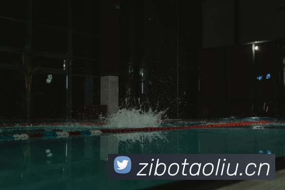 k体育 - 官方登入平台生态图